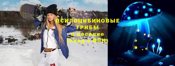 кокс Арсеньев