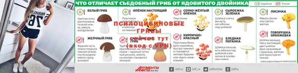 не бодяженный Аркадак