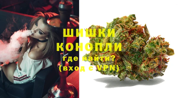 кокс Арсеньев